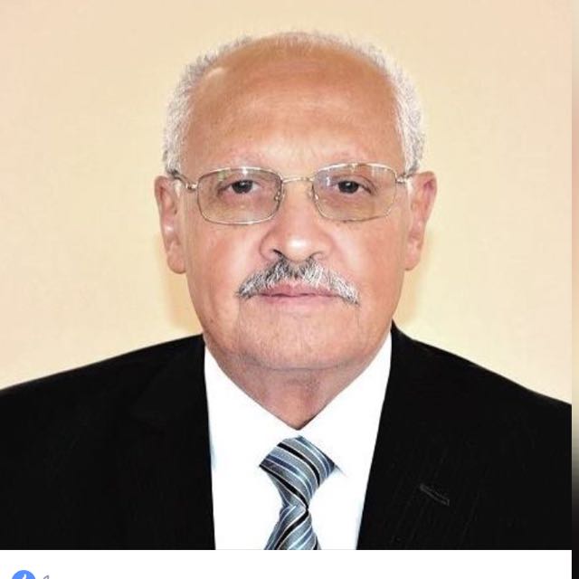 Prof. Ahmed Hamad EUI 